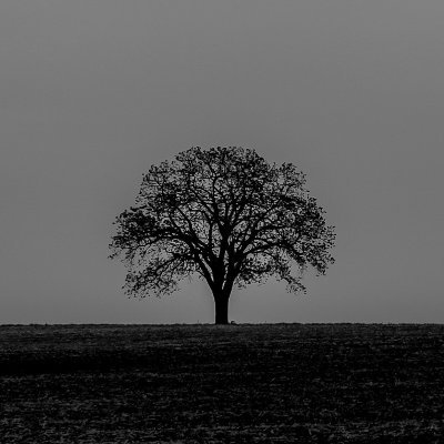 Folklore alternativo, milongas y synth pop desde el Sudoeste Bonaerense
Spotify:
https://t.co/TcrSN0OTFF…
YouTube:
https://t.co/kd9cSdGJw7