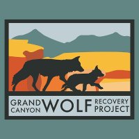 GC Wolf Recovery (@gcwolfrecovery) 's Twitter Profile Photo GC Wolf Recovery (@gcwolfrecovery) 's Twitter Profile Photo