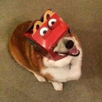 Texon (@texxon56) 's Twitter Profile