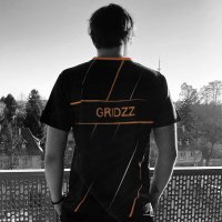 D2S | GridZz (@gridzz_lol) 's Twitter Profile