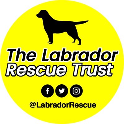 The Trust is an organisation in England that has been helping Labradors in need since 1988. We cover the South West of England. We love our dogs!