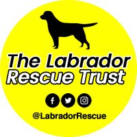 The Labrador Rescue Trust (@labradorrescue) 's Twitter Profile
