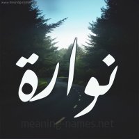 مشتل نوارة للشتلات البرية (@basateen10) 's Twitter Profile Photo