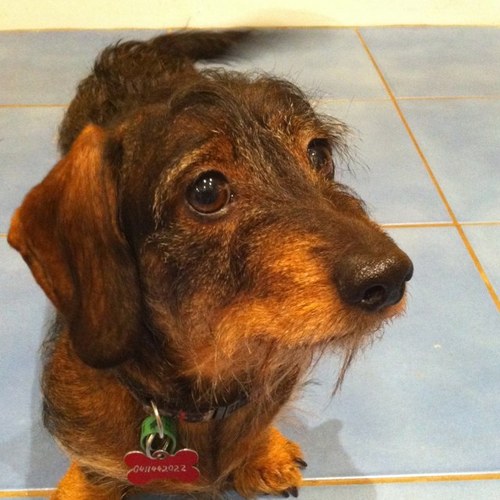 cassoulet79's profile picture. 