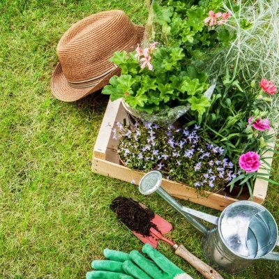 thefieldcrews's profile picture. The Field Crews offers best property maintenance services in Toronto, GTA area. We have years of experience in providing Landscape Maintenance, Spring Clean-up.