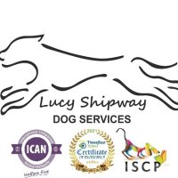 Lucys Dog Services(@Lucysdogservice) 's Twitter Profile Photo