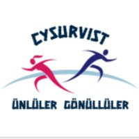 CYSurvist 📈 (@cysurvist) Twitter profile photo