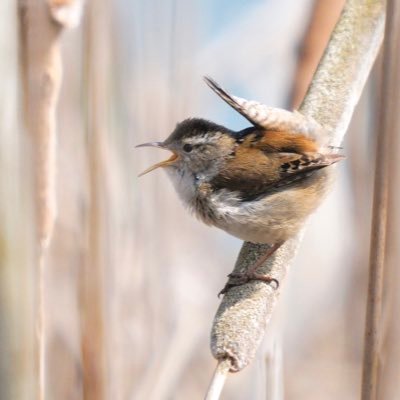 UnderemployedP's profile picture. Too much time, nothing to say but saying it loud.   So special rules don’t apply.