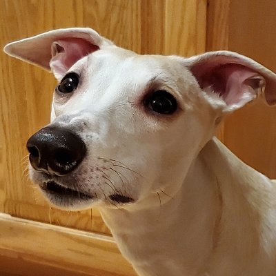 bee_dooby's profile picture. Kickass