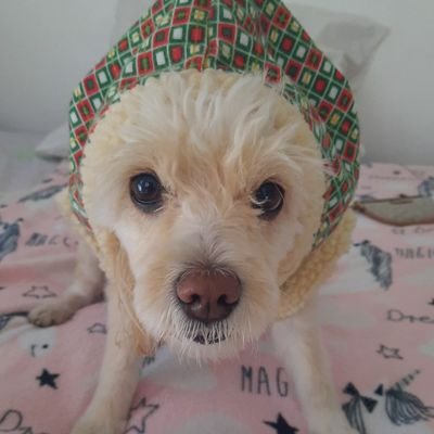 TRamos1806's profile picture. 