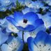 Adorable Nature (@adorablenature1) Twitter profile photo Adorable Nature (@adorablenature1) Twitter profile photo