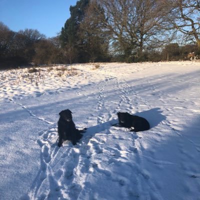 neilwillsher's profile picture. 