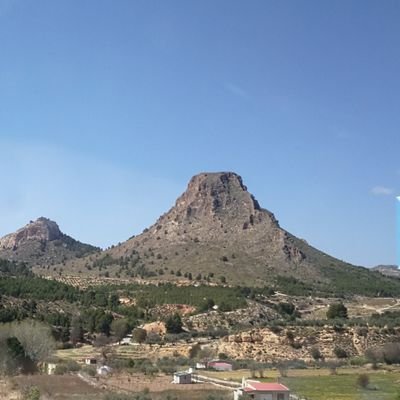 ilecebrado's profile picture. 