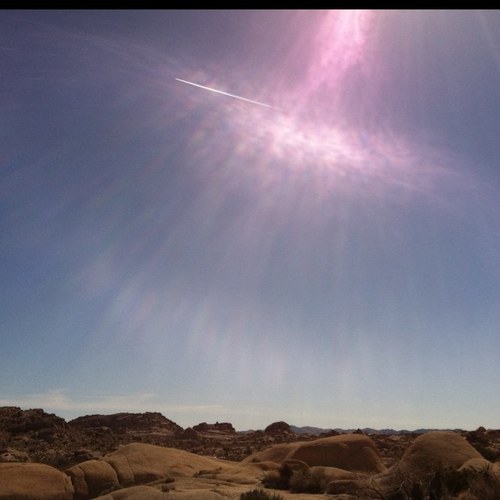 chuckymarrs's profile picture. 