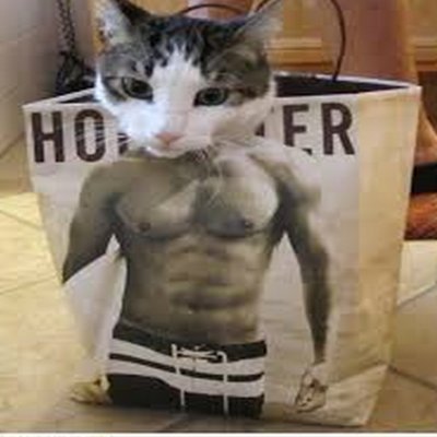 getitgoing121's profile picture. 