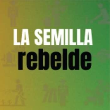 SemillaRebelde's profile picture. Programa Audiovisual 
#ConcienciaSolidaria ONG @ConSol_ONG
Lunes, 16hs
Transmisión por Video en Vivo en Facebook: La Semilla Rebelde