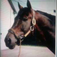 Harry B (@bigezharry) 's Twitter Profile Photo Harry B (@bigezharry) 's Twitter Profile Photo