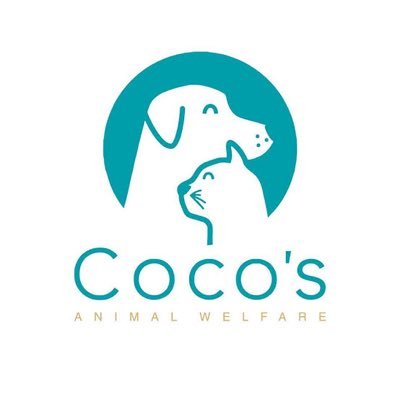 Coco's Cat Rescue is a Playa del Carmen rescue charity focusing on the spay and neuter of feral cats and the care and re-homing of kittens in need of rescue.