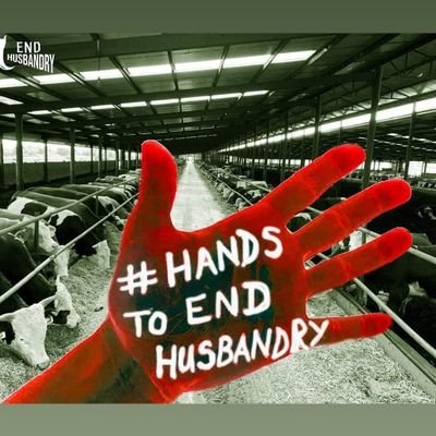 HANDS TO END HUSBANDRY