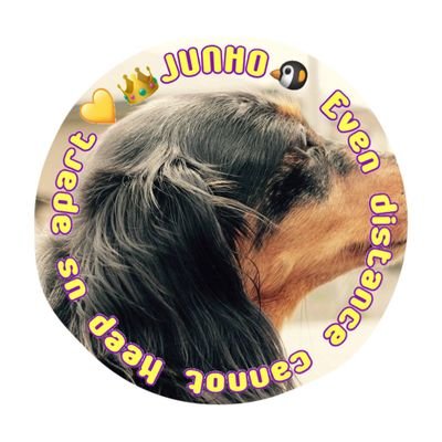 愛犬ちょこ♡
2PM大大大好き♡1番ゎJUNHO💛
6人の雰囲気が大好きです(*´ー`*)♡
影ながら出来る限りの応援中
٩(ˊᗜˋ*)و ᶠⁱᴳʰᵀᵎᵎ
韓国ドラマ大好き♡
韓ドラ語りたいです(*˙˘˙*)
勝手にフォローさせて貰ってます💦