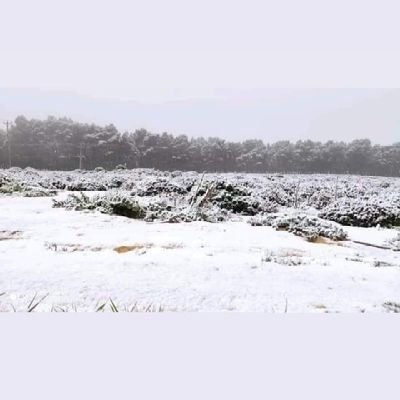 0CoWxWMMxNg8G51's profile picture. .