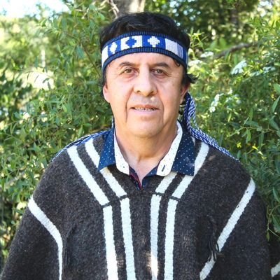 Candidato Constituyente escaño reservado Pueblo Mapuche