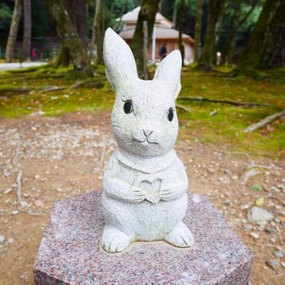 tomo_pue's profile picture. B'z大好き❤️稲葉さんの笑顔と手が好き❣️B’z LIVE-GYM 2025 -FYOP参戦❣️北海道🌟道南を勝手に応援させていただいています💕💕極UMAMI美人投稿多め🤭❣️美人ちゃんambassador legend2023🌟KIZUNA営業部🌟