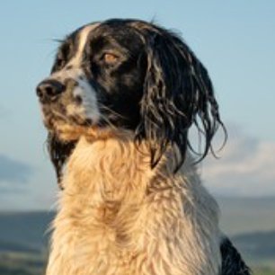Lost login to old twitter account so here I am
NHS Nurse & proud to be!
stay home and keep us all safe
Dog Mamma - we don't deserve dogs