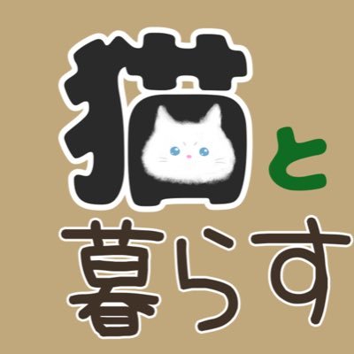 生後2ヶ月のマンチカン、SARIです！