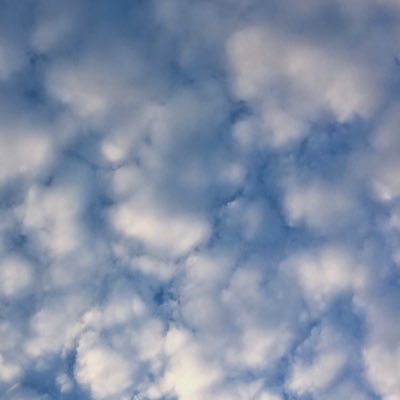 jay85272082's profile picture. 