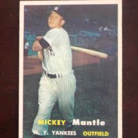 The Collector (@collectorcriss) 's Twitter Profile Photo