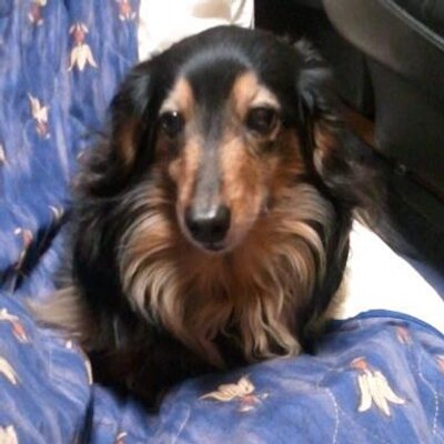 ふわやすとも Yasuyasutti10 Twitter
