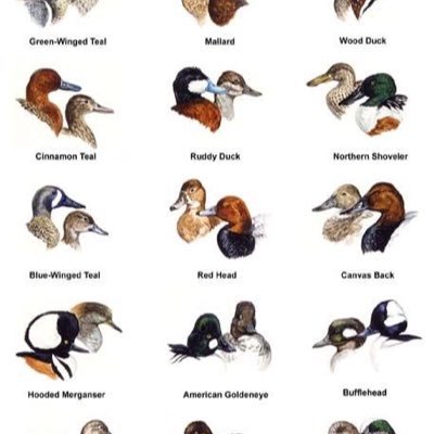 DegeyterBrandon's profile picture. 