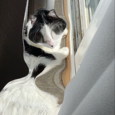 BrookeReaves3's profile picture. new twitter : @ilyybrooke