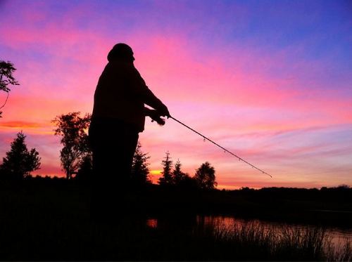 altheparkguy's profile picture. Son Brother Husband Father Friend Boiler Shacker Packer Owner Enjoys football fishing golf birding open wheel racing CW/bluegrass music. Conservation Pro