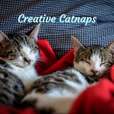 Creative Catnaps is a music relaxation station that not only helps you sleep but also creates audio worlds for your imagination to explore.