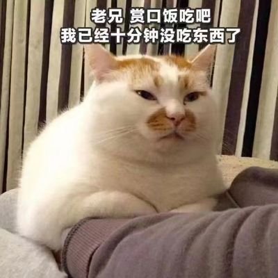 Tridu33's profile picture. ikun