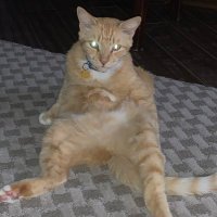 Let’s All Laugh.. ☀️ (@letsdolunch12) 's Twitter Profile