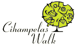 The Presence of Cihampelas Walk in the midst of the city of Bandung,the mall with a new concept,offering something different from other malls in Indonesia..