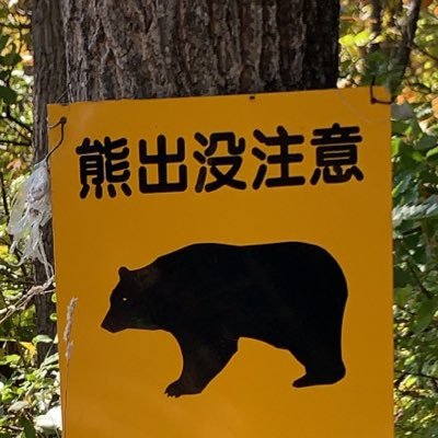 ゆはらさんのプロフィール画像