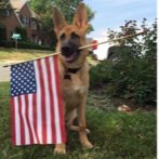 No Lies. Trump HATES America but LOVES Russia. (@nolietees) 's Twitter Profile Photo No Lies. Trump HATES America but LOVES Russia. (@nolietees) 's Twitter Profile Photo
