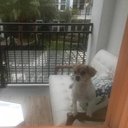 Ilya Shapiro - @IlyaShapiro - Twitter