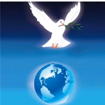 Dual-degree Engineer | Entrepreneur by Nature | Multi-Business Owner by Choice. Advocate equality and stand with those fighting for freedom and justice in Iran!