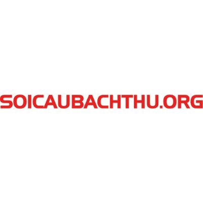 Soi Cầu Bạch Thủ Profile