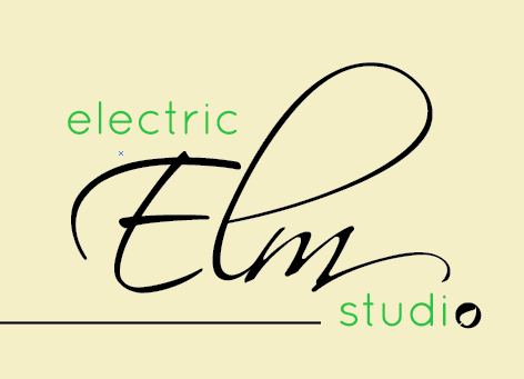 ElecElmStudio's profile picture. Electric Elm Studio is a cutting edge photographic establishment holding quality to the highest standard, serving Grand Rapids and West Michigan.