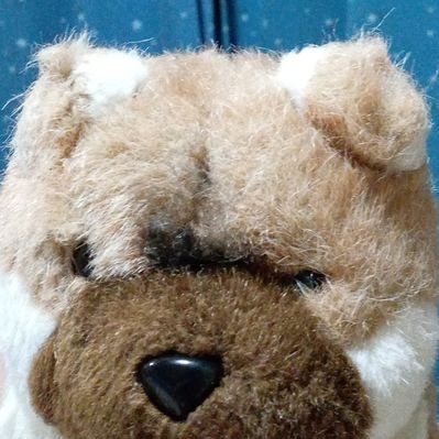 チャッピー (@chatppy_chatppy) / Posts / X