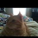 Renee  Sandford - @NayRay2 - Twitter