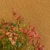 سـارة العريفان (@sarah_urf) Twitter profile photo سـارة العريفان (@sarah_urf) Twitter profile photo
