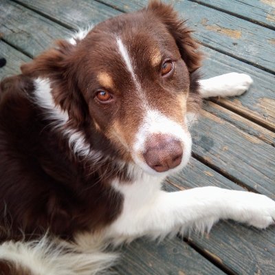 Rumtoff's profile picture. 