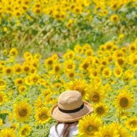 ミチコタ☕️万博楽しみ✨ (@michico16665341) 's Twitter Profile Photo